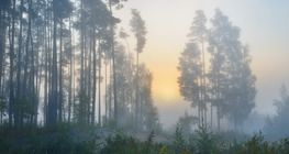 Образуване на мъгла