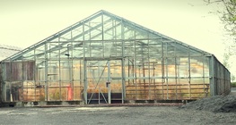 Парников ефект