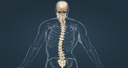 Medical conditions of the spine