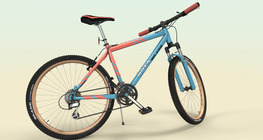 The physics of bicycles