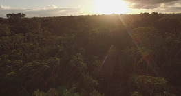 The Equatorial Climate