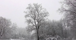 Четири сезона