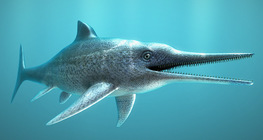 Ichthyosaur