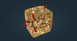 Съединителна тъкан