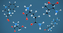 Аминокиселини
