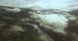 Големи екваториални реки