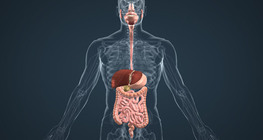 Oral cavity, pharynx and oesophagus