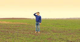 Хоризонтът