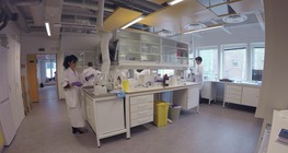 Chemists in the Arctic