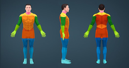 Parts of the human body (for kids)