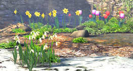 Луковични пролетни растения