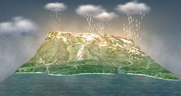 The water cycle (basic)