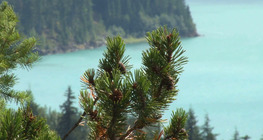 Mediterrán éghajlat