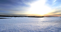 Субполярен климат