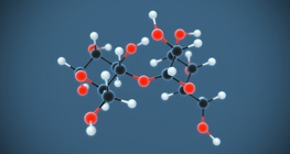 Малтоза (малцова захар) (C₁₂H₂₂O₁₁)