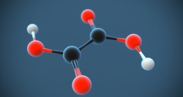 Оксалова киселина (етандиова киселина) (COOH)₂