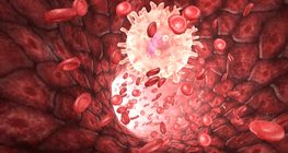 Човешката кръв