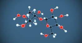 Лактоза (C₁₂H₂₂O₁₁)