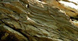 Soil formation