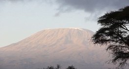 Африка - геоложка анатомия на континента