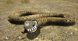 Grass snake