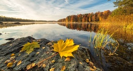 Езерен бряг