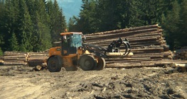 Дърводобив