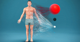 What is the human body composed of?