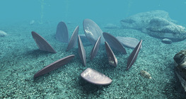 Freshwater pearl mussel