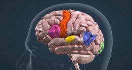 Контрол на речта