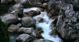 Кръговрат на водата