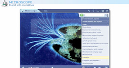 Microscope tutorial