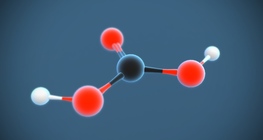 Carbonic acid (H₂CO₃)