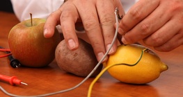 Плодови батерии