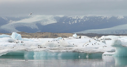 Το έργο των παγετώνων