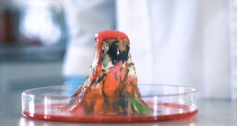 Модел на вулкан