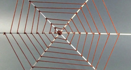Spider web
