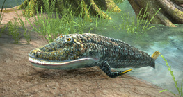 Tiktaalik