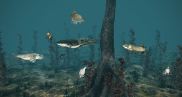 Сладководни риби