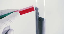 Физични и химични промени Взаимодействие между желязо и сяра