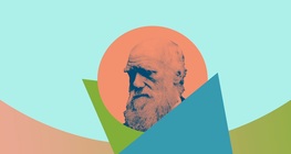 Еволюцията, която чувстваш по собственото си тяло