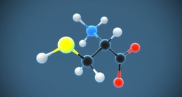 Cysteine