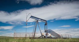 Natural gas and petroleum