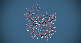 Amylose ((C₆H₁₀O₅)n)