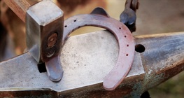 Horseshoeing