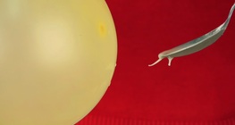 Електрическо нишесте