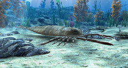 Monsters of the Palaeozoic: sea scorpions