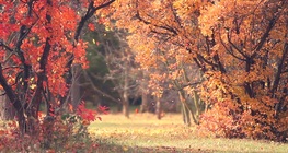 Смяна на сезоните