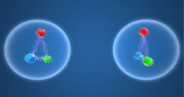 Елементарни частици