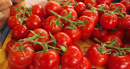 The colour of tomatoes